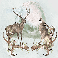 Druid Hills Homeowners Association Official Site HOA